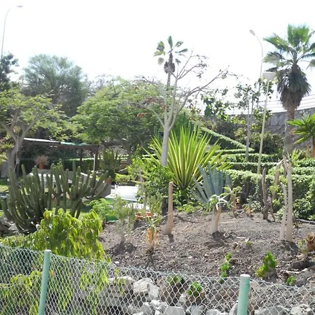 Mocanes דירה